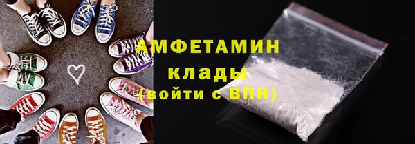 крисы Ельня