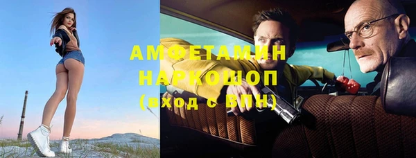 крисы Ельня