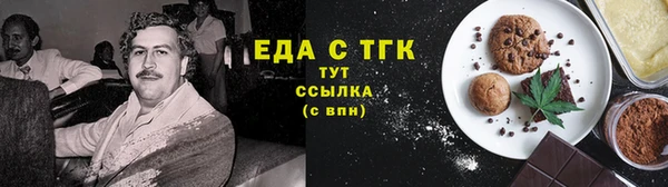 крисы Ельня