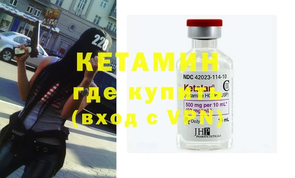 крисы Ельня