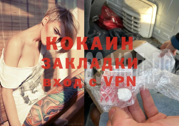 крисы Ельня