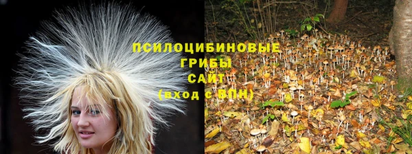 крисы Ельня