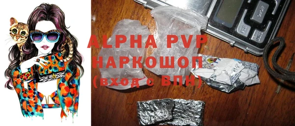 крисы Ельня