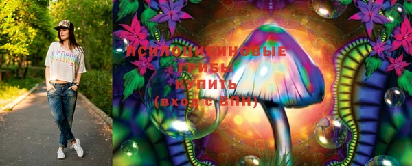 крисы Ельня