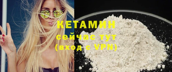 крисы Ельня