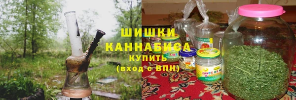 крисы Ельня