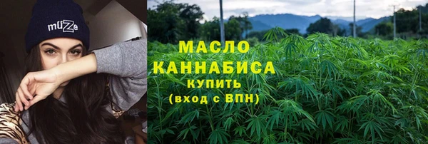крисы Ельня