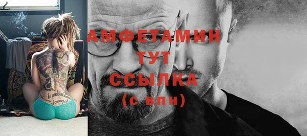 крисы Ельня