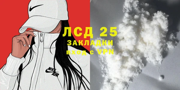крисы Ельня