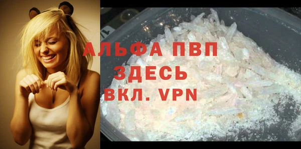 крисы Ельня
