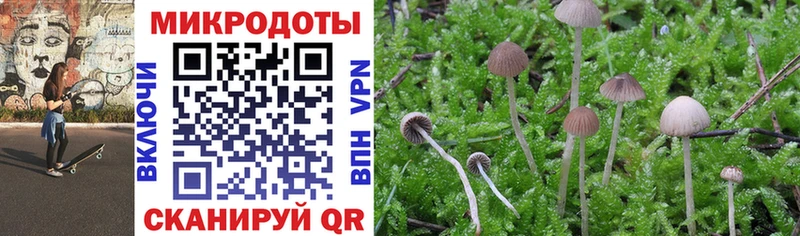 Псилоцибиновые грибы прущие грибы  Купить где  Гаврилов-Ям 